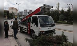 Yük Asansörlü Kamyonet Park Alanında Ağaçlara Çarparak Durdu