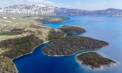 Bitlis Valiliği'nden Nemrut Dağı Ziyaretçilerine Bozayı Uyarısı