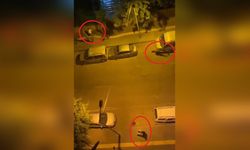 Diyarbakır’da Silahlı Kavga: Yaralı 2 Kişi Tedavi Sonrası Tutuklandı