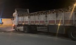 TIR'ın dorsesinde 42 kaçak göçmen bulundu