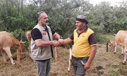 İHH kurban bayramı’nda 60 ülkedeki 3,5 milyon kişiye ulaşmayı hedefliyor