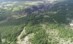 Kırklareli'de ormanlara girişler yangın riski nedeniyle yasaklandı