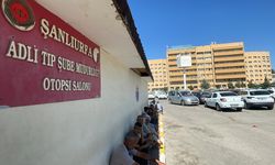 Şanlıurfa'da otomobilin çarptığı çoban hayatını kaybetti