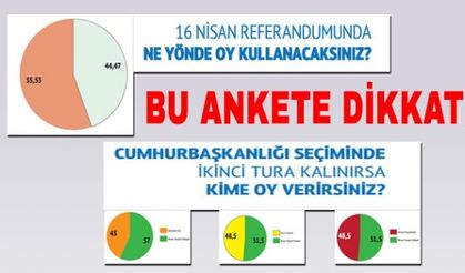 Mart 2017 referandum anketi