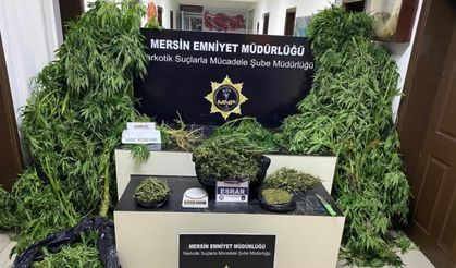 Mersin'de Mayıs ayında 43 torbacı tutuklandı