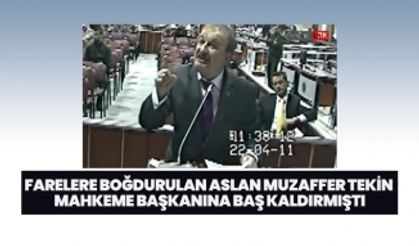 Farelere boğdurulan Aslan Muzaffer Tekin mahkeme başkanına baş kaldırmıştı