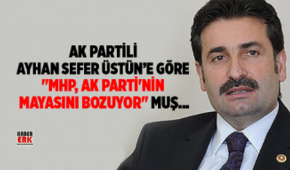 Ak Partili  Ayhan Sefer Üstün’e göre  "MHP, AK Parti'nin  mayasını bozuyor" muş...