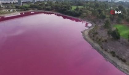 Avustralya’da bir göl pembe renge büründü