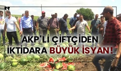 AKP'li çiftçiden iktidara büyük isyan!