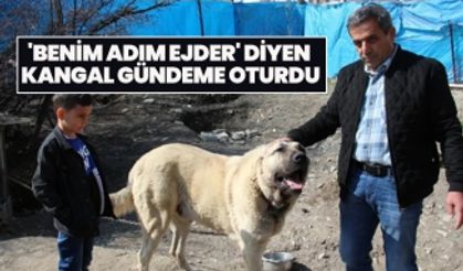 'Benim adım Ejder' diyen Kangal gündeme oturdu