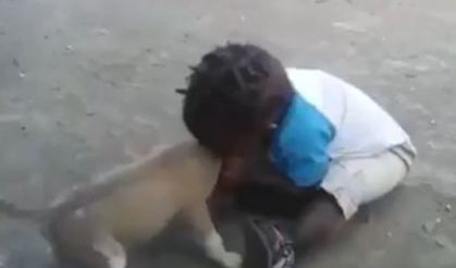 Sosyal medyayı sallayan çocuk ve köpek videosu