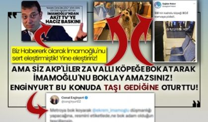 AKP'liler zavallı köpeğe bok atarak İmamoğlu'nu boklayamazsınız!