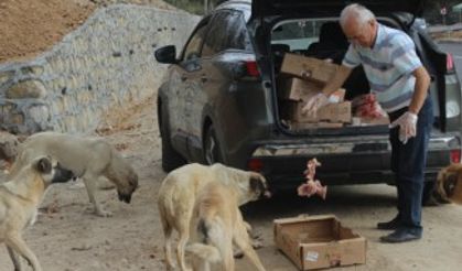 Her gün 5 saatini sokak hayvanlarına ayırıyor