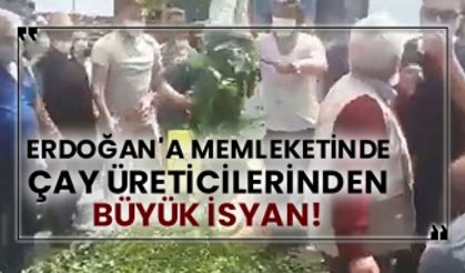 Erdoğan'a memleketinde çay üreticilerinden büyük isyan!