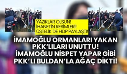 İmamoğlu orman yakan PKK'lıları unuttu Pervin Buldanla ağaç dikti