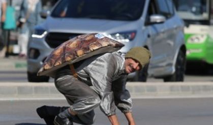 Kaplumbağa kostümüyle trafikte ’önce yaya’ dedi