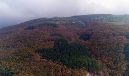 Karadeniz’de sonbaharda renk cümbüşü