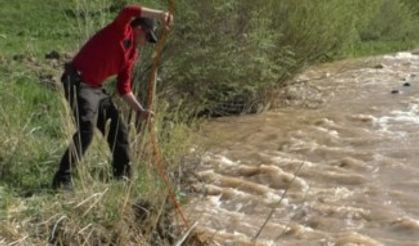 Kars’ta kaybolan küçük kızı arama çalışmaları sürüyor