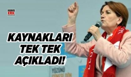 Meral Akşener Malatya'da