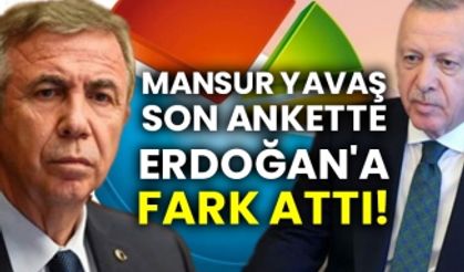 Mansur Yavaş son ankette Erdoğan'a fark attı!