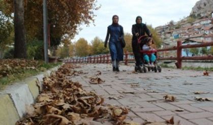 Sonbahar yaprakları 3 gün boyunca süpürülmeyecek