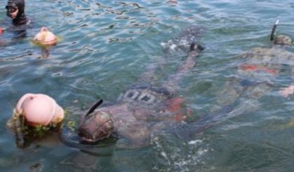 Yalovalı zıpkıncılar bu kez deniz canlıları için daldı