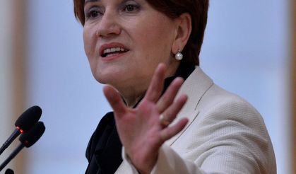 Ünlülerden Meral Akşener'e tepki