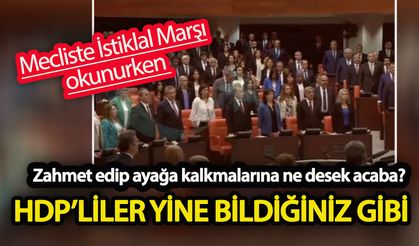 HDP’liler yine bildiğiniz gibi!