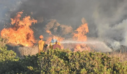 Muğla'da arazide başlayan yangın ormana sıçradı