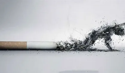Sigara hangi kanser türlerini arttırıyor