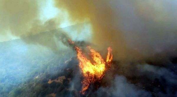 Milas ve Bodrum'da orman yangını