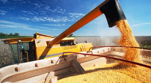 Ruslar anlaşmadan çekildi buğday fiyatları fırladı
