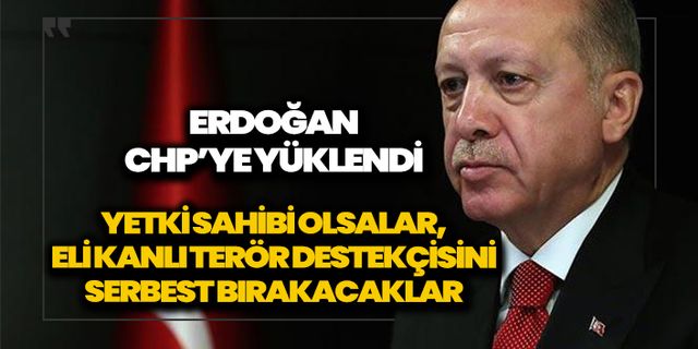 Erdoğan'dan CHP'ye Demirtaş tepkisi