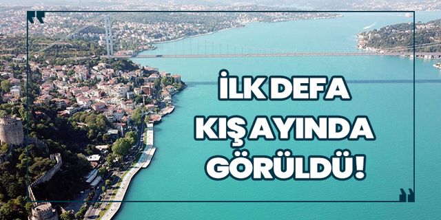 İstanbul Boğazı'nın enfes renk değişimi!