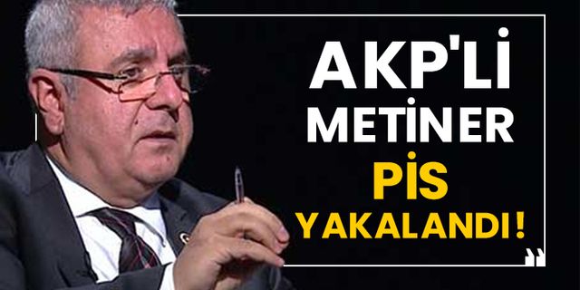 AKP'li Metiner pis yakalandı!