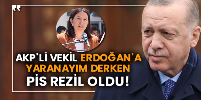 AKP'li vekil Erdoğan'a yaranayım derken pis rezil oldu!