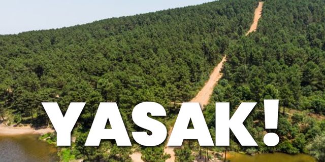İstanbul'da ormanlık alanlara girişler yasaklandı