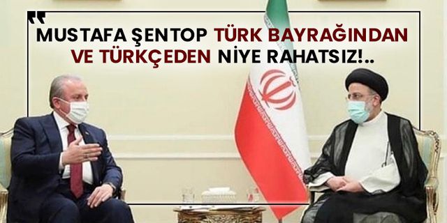 Mustafa Şentop Türk bayrağından ve Türkçeden niye rahatsız!..