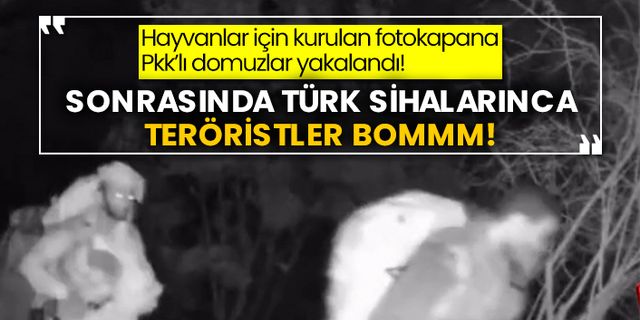 Hayvanlar için kurulan fotokapana Pkk’lı teröristler yakalandı! Sonrasında Türk Sihalarınca etkisiz hale getirildi!