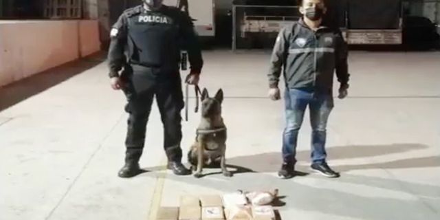 Rotası Türkiye idi! Ekvador'da yaklaşık 69 kilo kokain ele geçirildi