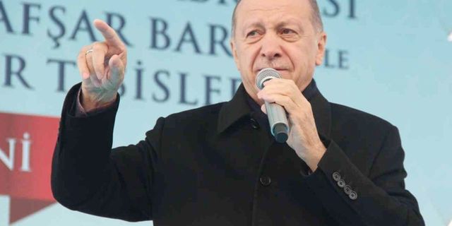 Erdoğan, barınaktaki vahşete Konya'dan tepki gösterdi