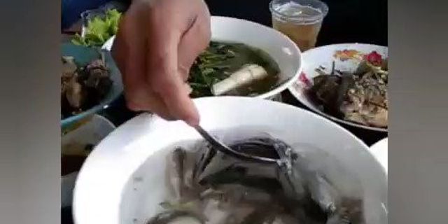 Balığı sosa batırıp canlı canlı yediler!