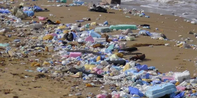 Doğa katlediliyor: Sarıyer Sahili çöp yığını oldu!