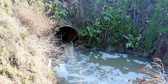 Kanalizasyon suları Tunca Nehri'ni tehdit ediyor