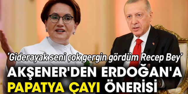 Akşener'den Erdoğan'a papatya çayı önerisi: Giderayak seni çok gergin gördüm Recep Bey