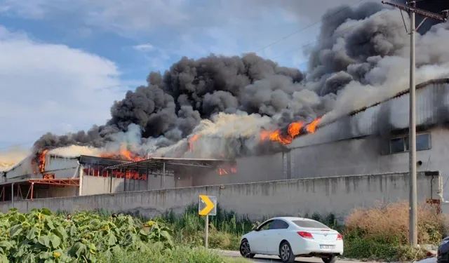 Bursa’da orman ürünleri fabrikasında yangını