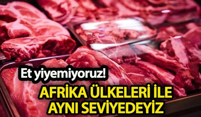 Türkiye et tüketiminde Afrika ülkeleri seviyesine düştü