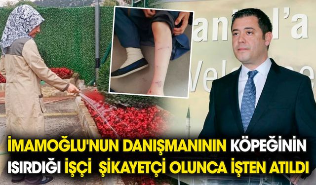 İmamoğlu'nun danışmanının köpeğinin ısırdığı işçi  şikayetçi olunca işten atıldı