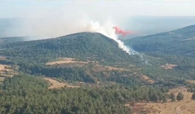 Manisa'da Korkutan Orman Yangını