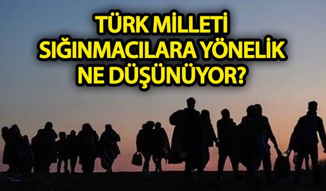 Türk Milleti sığınmacılara yönelik ne düşünüyor?